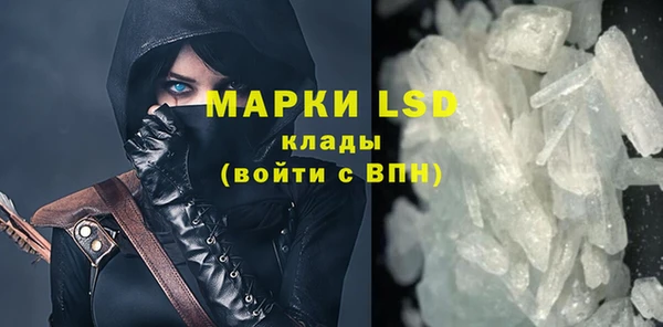 прущие грибы Струнино