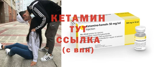 прущие грибы Струнино