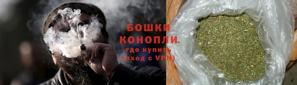 мдпв Порхов