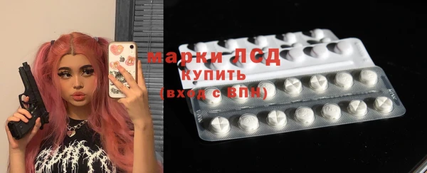 прущие грибы Струнино