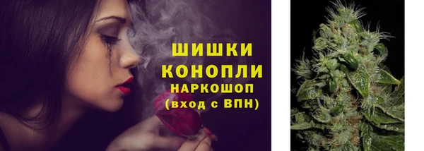 прущие грибы Струнино