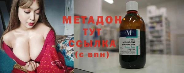 прущие грибы Струнино