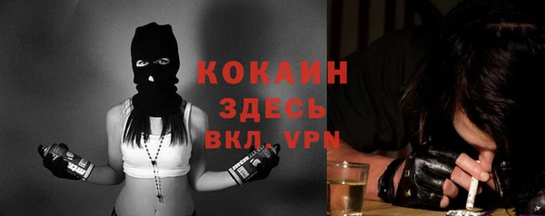 прущие грибы Струнино
