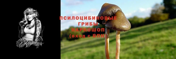 прущие грибы Струнино