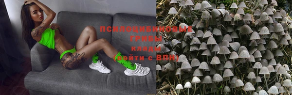 прущие грибы Струнино
